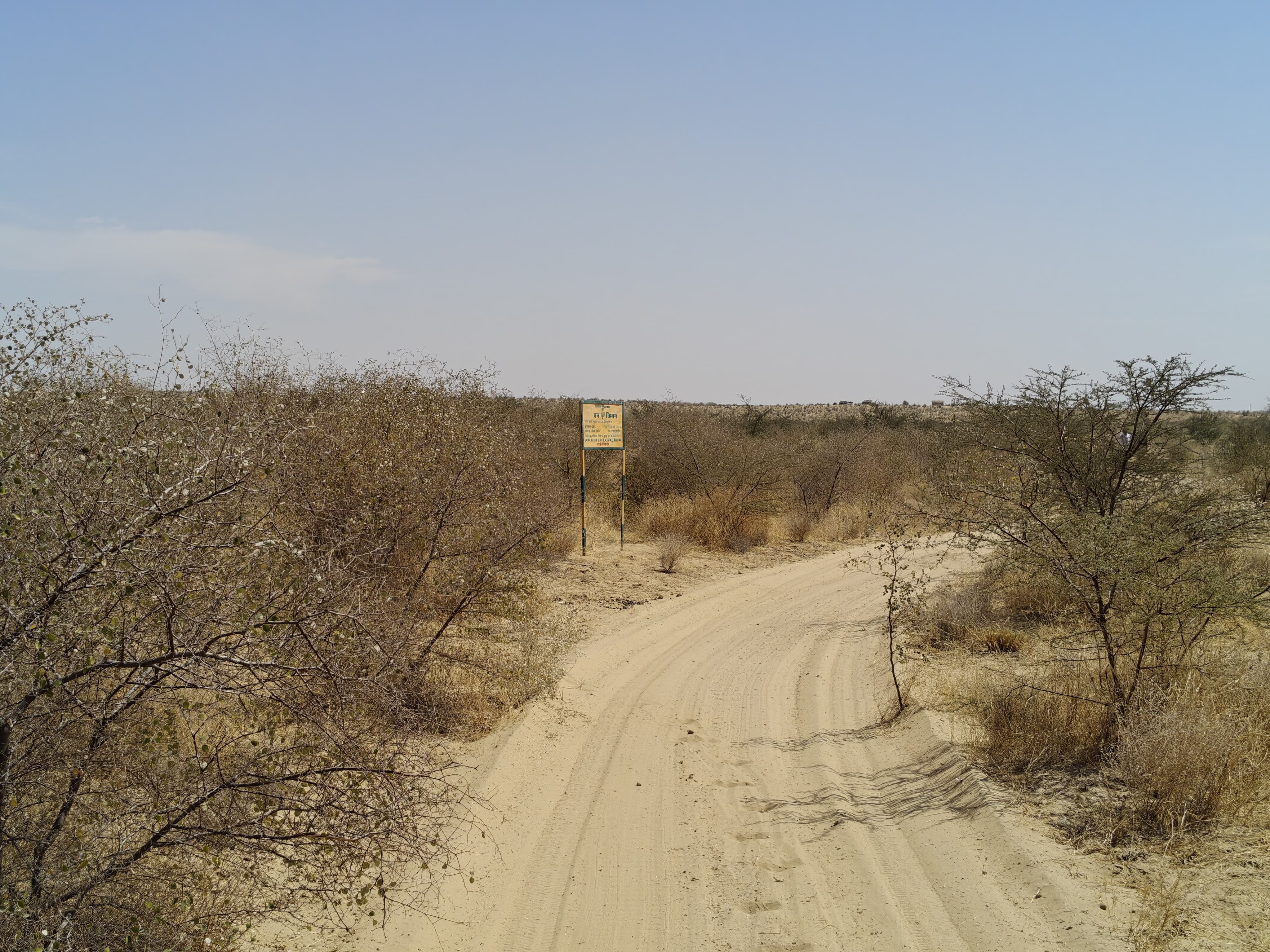 Compensatory Afforestation